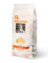 Hartweizen Conchiglie Bronze BIO 500g Thumbnail 1