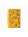 Sketchbook Ginkgo Thumbnail 1